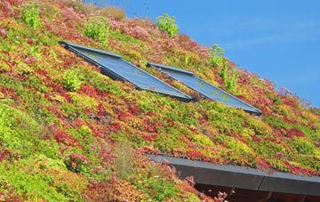 Summer Hill living roof systems